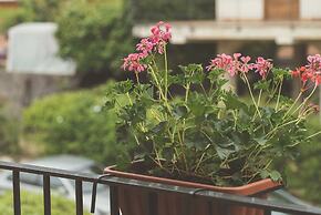 B&B Alle Falde Dell'Etna