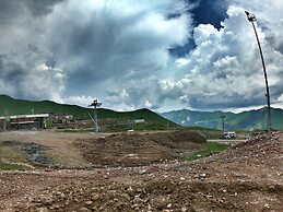Gogo Apartments New Gudauri
