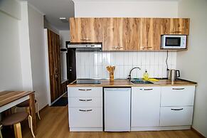 Gogo Apartments New Gudauri