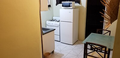 Karmen Apts Caguas Studio