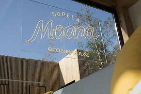 Moana Eco Surf House - Hostel