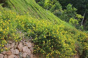 Periyarmountainpalace