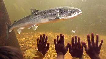 Hotell Eikerapen Gjestegard