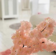 Beyaz Ev Butik Otel Masukiye