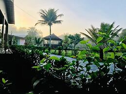 O Jungle Spa e Hotel