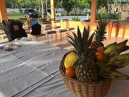 O Jungle Spa e Hotel