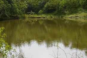 Albergue La Laguna Corcovado Park