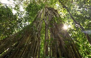 Albergue La Laguna Corcovado Park