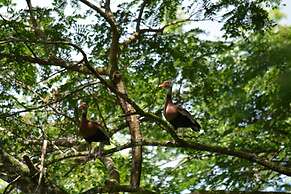 Albergue La Laguna Corcovado Park