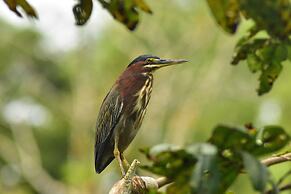 Albergue La Laguna Corcovado Park