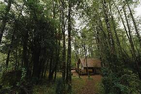 Huilo Huilo Cabanas del Bosque