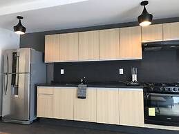 Amazing Apartment in Reforma