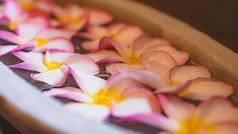 Ayur Ayur Ayurveda Retreat