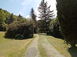 Le Cheminard