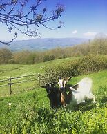 Agriturismo La Casina della Burraia