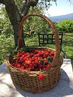 Agriturismo La Casina della Burraia