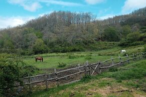 Agriturismo La Casina della Burraia