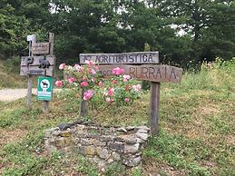 Agriturismo La Casina della Burraia