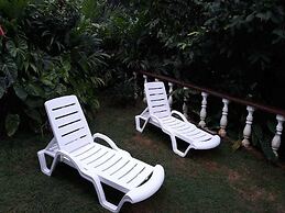 Tropical Garden Self Catering