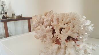 Captain's Luxury Suite