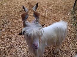 Agriturismo Specchiarussa