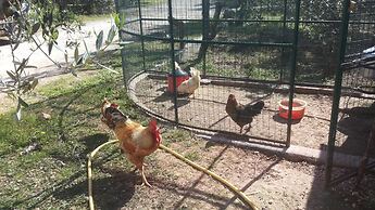 Agriturismo Specchiarussa