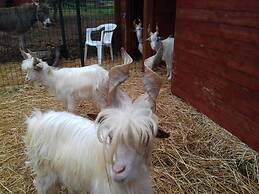 Agriturismo Specchiarussa