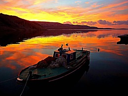 Apartments Dalmatinka Metajna Novalja