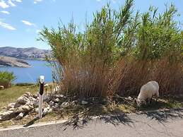 Apartments Dalmatinka Metajna Novalja