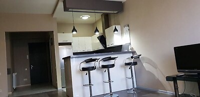 Apartment on Kandelaki Str.