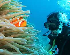 East Lombok Dive Hotel - Hostel