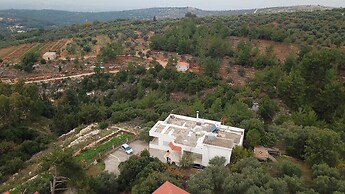Ahla Vert View