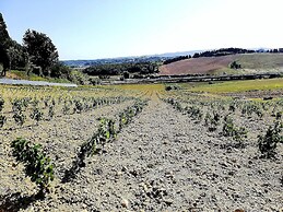 Agriturismo Campo al Sole