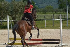 Le Ghiande