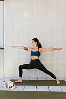 United Places Botanic Gardens