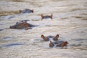 Ihamba Lakeside Safari Lodge