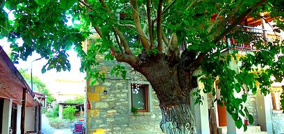 Yesildag Pansiyon Gokceada