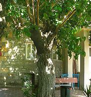 Yesildag Pansiyon Gokceada