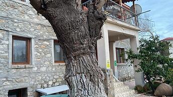 Yesildag Pansiyon Gokceada