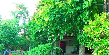 Yesildag Pansiyon Gokceada