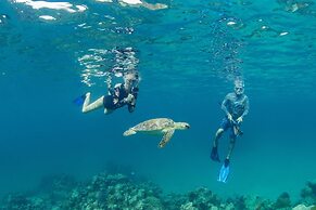 Harbour Club Villas & Marina