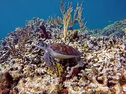 Harbour Club Villas & Marina