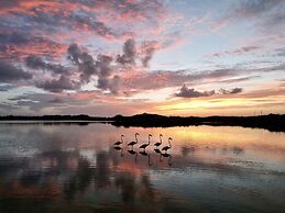 Harbour Club Villas & Marina