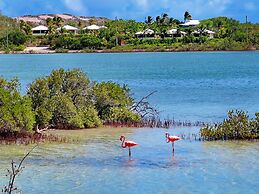 Harbour Club Villas & Marina