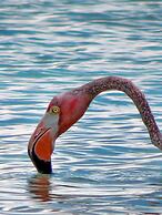 Harbour Club Villas & Marina