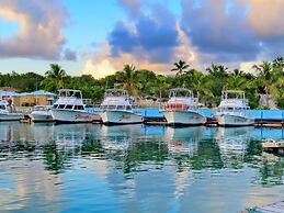 Harbour Club Villas & Marina