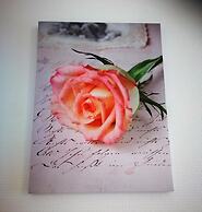 Les Terrasses de l'Aven