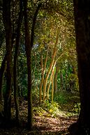 Villa Beluno Hotel & Spa