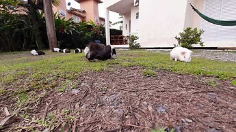 Mares de Camburizinho