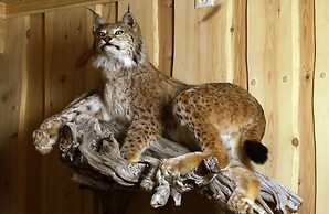 Rødungstøl Høyfjellshotell